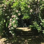 Bed & Breakfast La Gallina Felice 3*