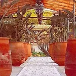 Bed & Breakfast La Gallina Felice Meta