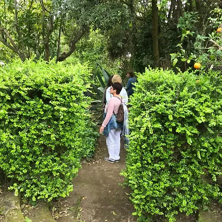 拉嘉利纳菲利斯住宿加早餐旅馆 住宿加早餐酒店 3*