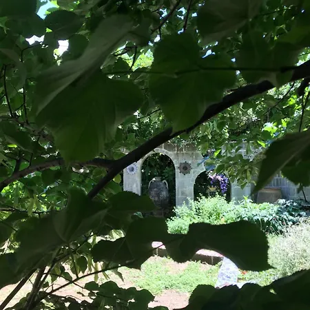 拉嘉利纳菲利斯住宿加早餐旅馆 3*