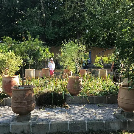 拉嘉利纳菲利斯住宿加早餐旅馆 3*