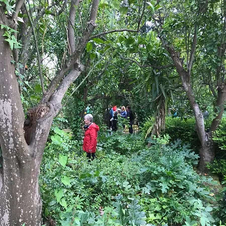 住宿加早餐酒店 拉嘉利纳菲利斯住宿加早餐旅馆 梅塔