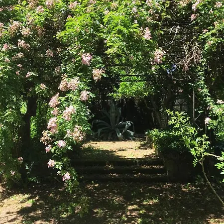 Bed & Breakfast La Gallina Felice 3*