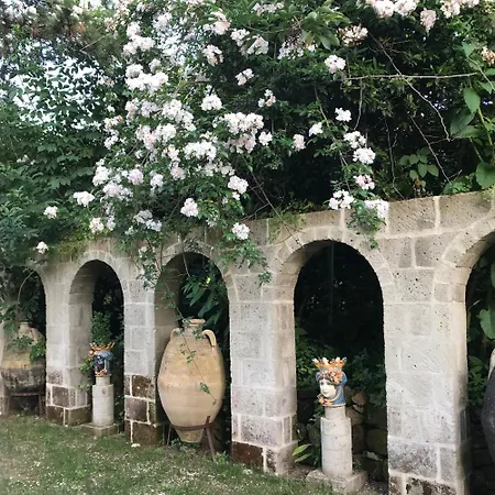 La Gallina Felice Bed & Breakfast Meta