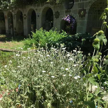 Bed & Breakfast La Gallina Felice