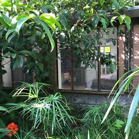 Bed & Breakfast La Gallina Felice Meta