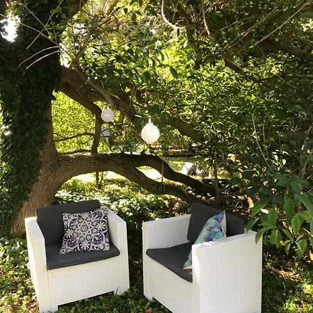Panzió La Gallina Felice 3*