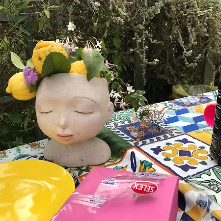 La Gallina Felice Bed & Breakfast Meta