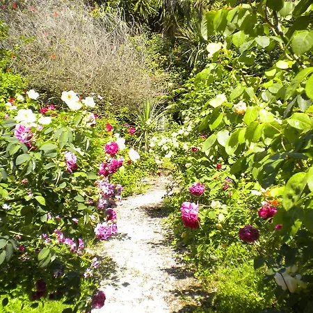 La Gallina Felice Bed & Breakfast 3*