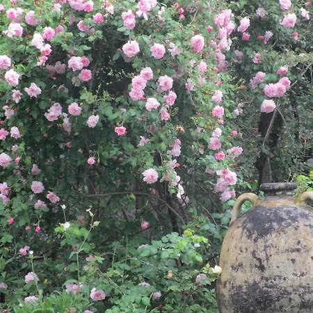 La Gallina Felice Bed & Breakfast