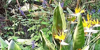 Bed & Breakfast La Gallina Felice 3*