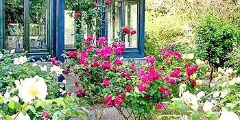 La Gallina Felice Bed & Breakfast