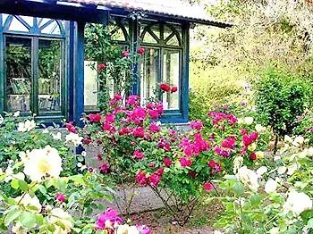 Bed & Breakfast La Gallina Felice