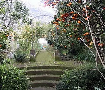 La Gallina Felice Bed & Breakfast